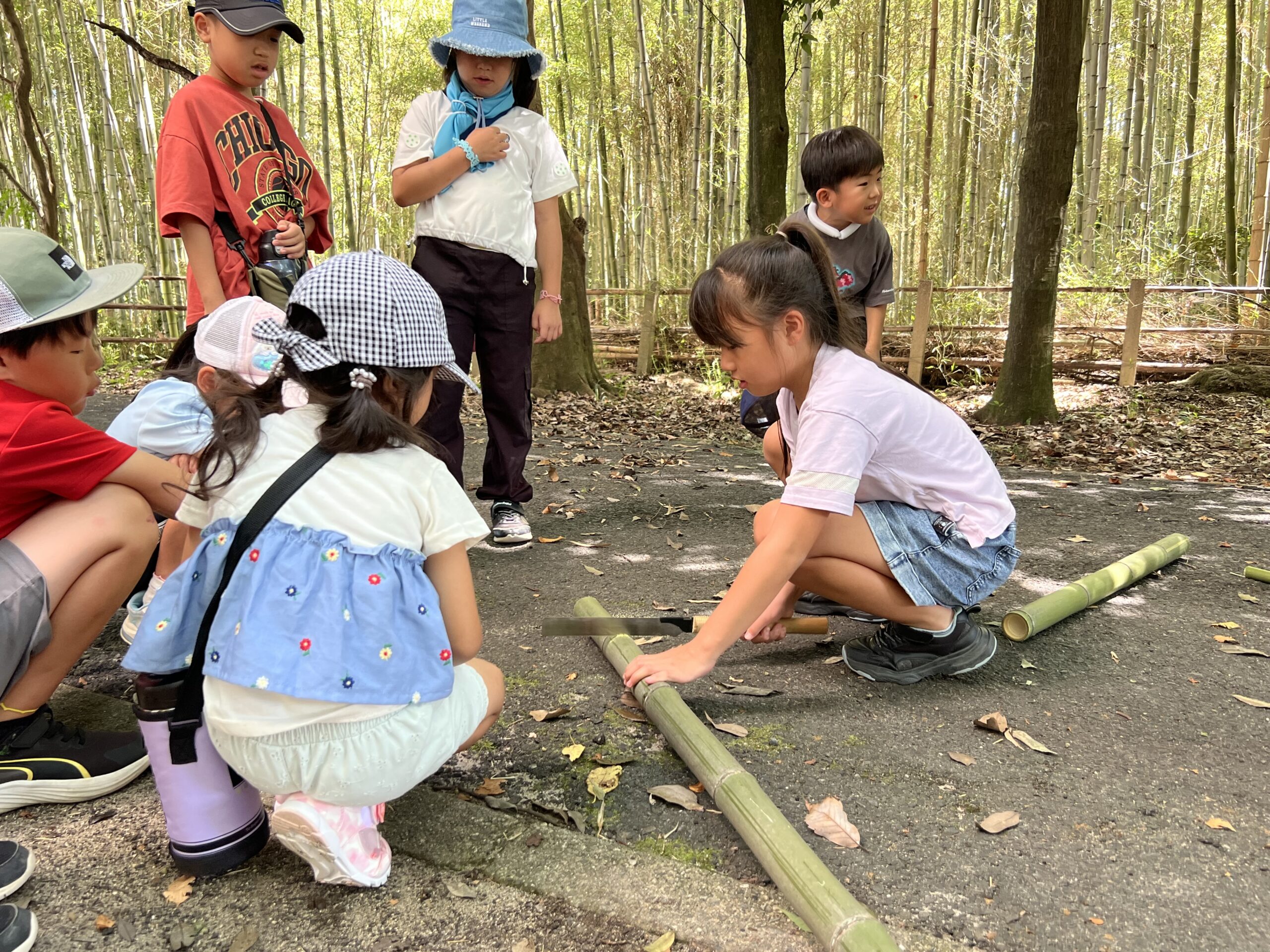 四日市のMiRAIサマスクで、竹藪から切り出した竹をノコギリで一生懸命切っている女の子の姿。夏休みの自然体験を通じて挑戦し、自分の力でやり遂げる貴重な時間を過ごしている様子。